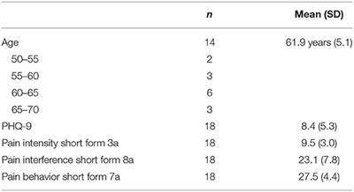 Exploring the Experiences of Co-morbid Pain and Depression in Older African American Women and Their Preferred Management Strategies